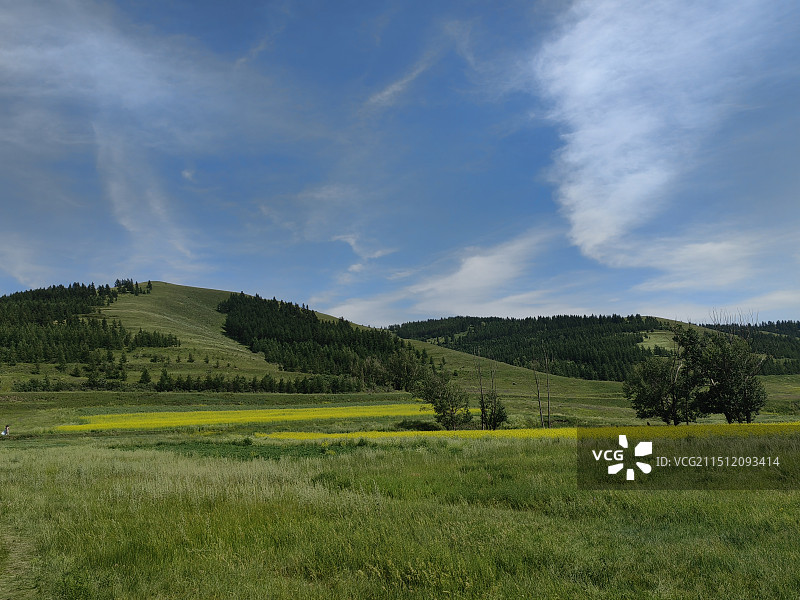 高山草原图片素材