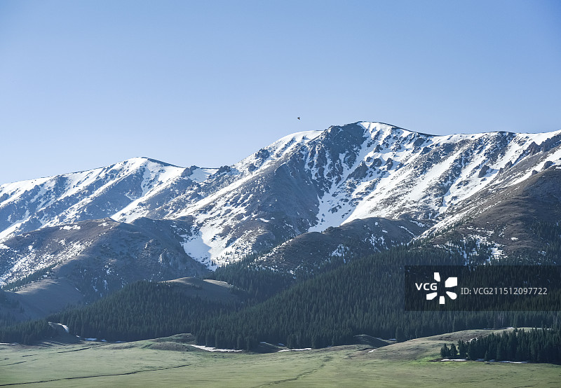 新疆风景｜美食分享图片素材