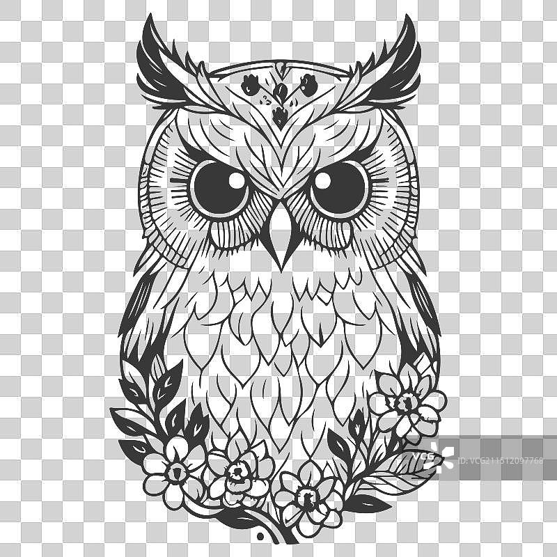 动物：花卉春灰色勇敢的猫头鹰图片素材