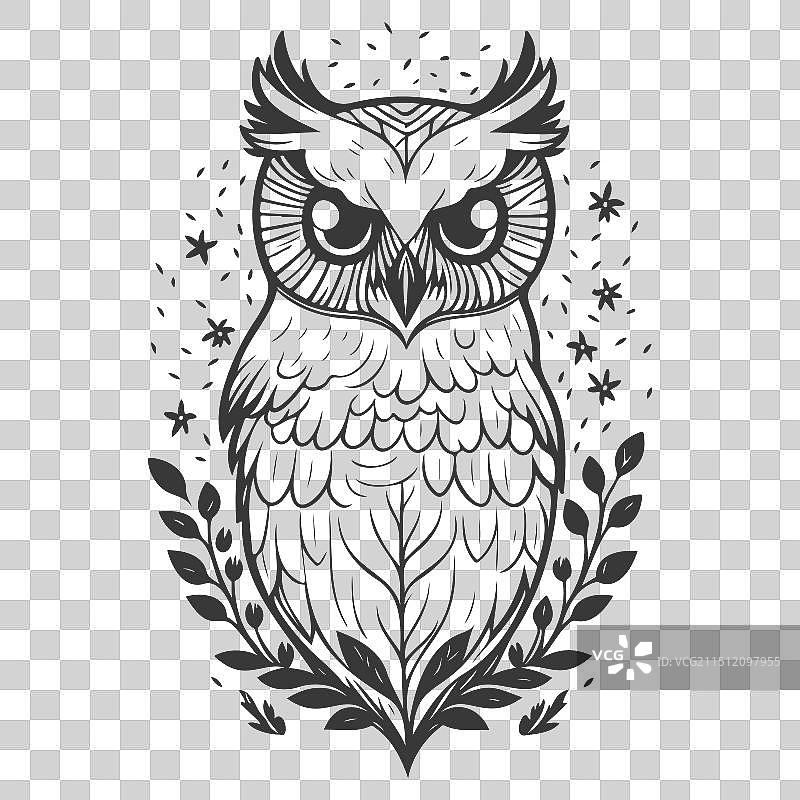 动物：花卉春灰色勇敢的猫头鹰图片素材