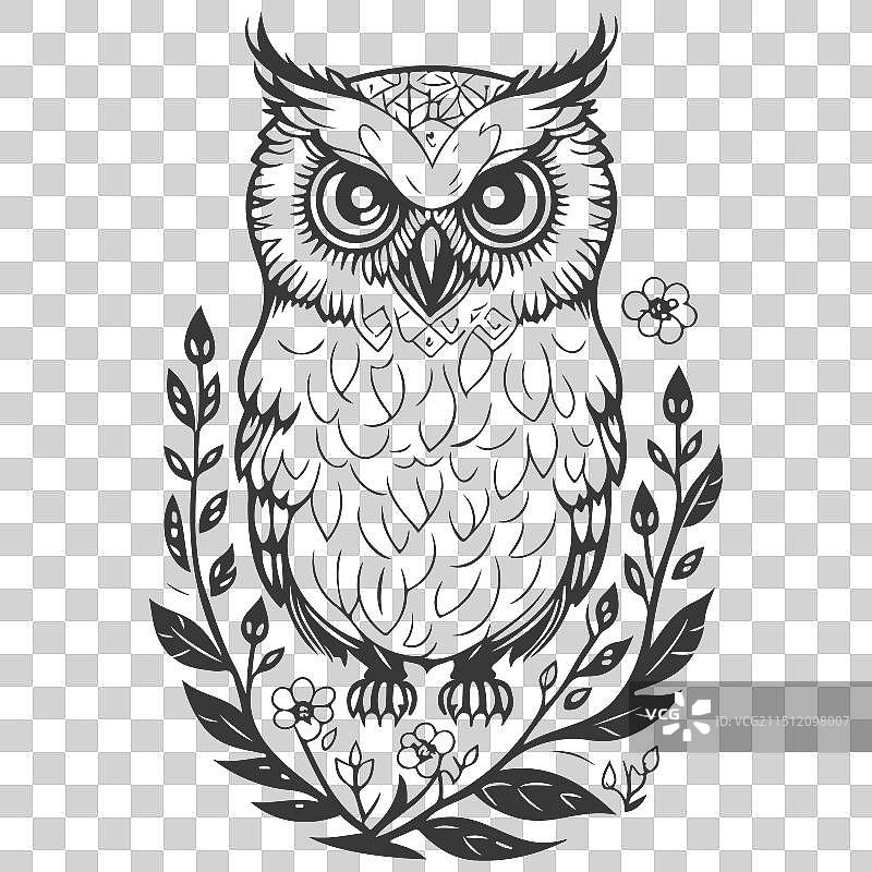 动物：花卉春灰色勇敢的猫头鹰图片素材