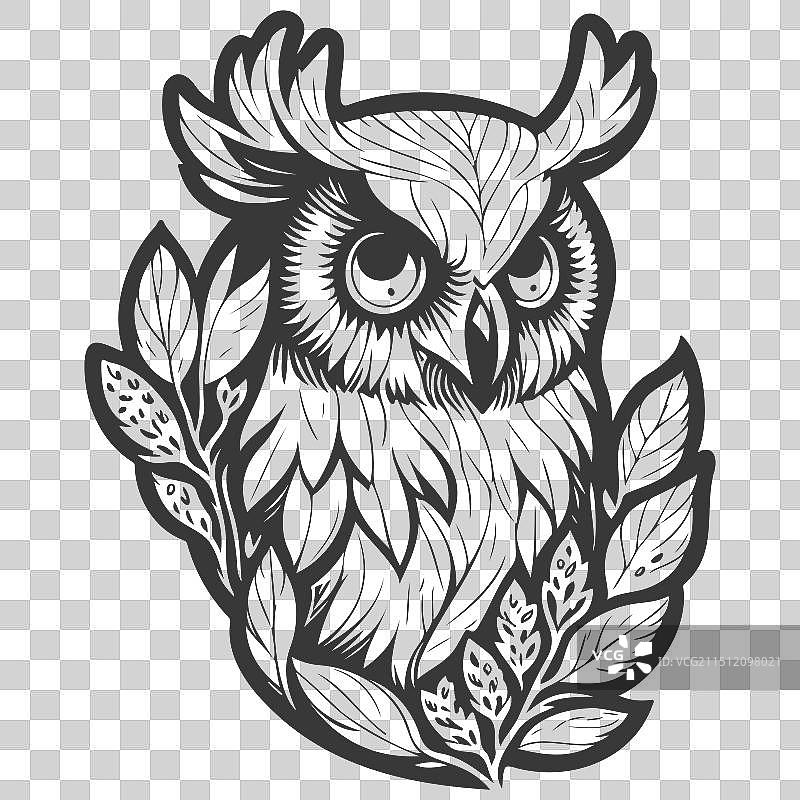 动物：花卉春灰色勇敢的猫头鹰图片素材