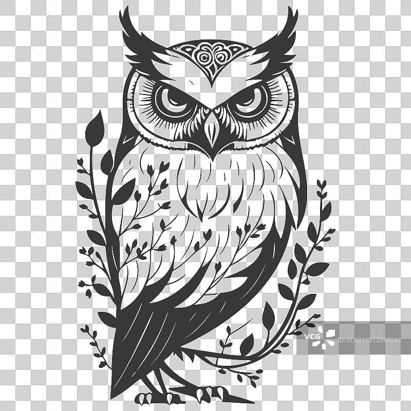 动物：花卉春灰色勇敢的猫头鹰图片素材