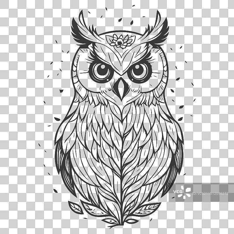 动物：花卉春灰色勇敢的猫头鹰图片素材