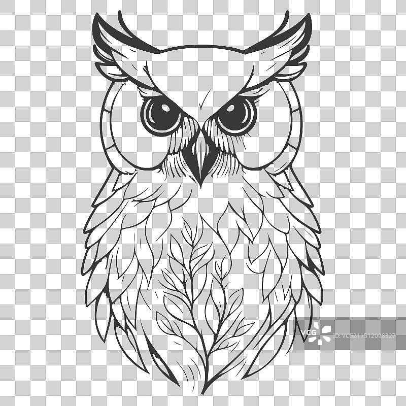 动物：花卉春灰色勇敢的猫头鹰图片素材