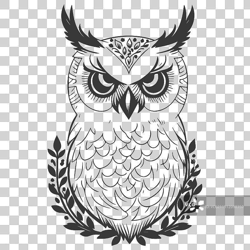 动物：花卉春灰色勇敢的猫头鹰图片素材