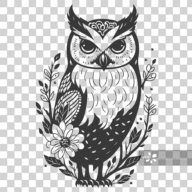 动物：花卉春灰色勇敢的猫头鹰图片素材