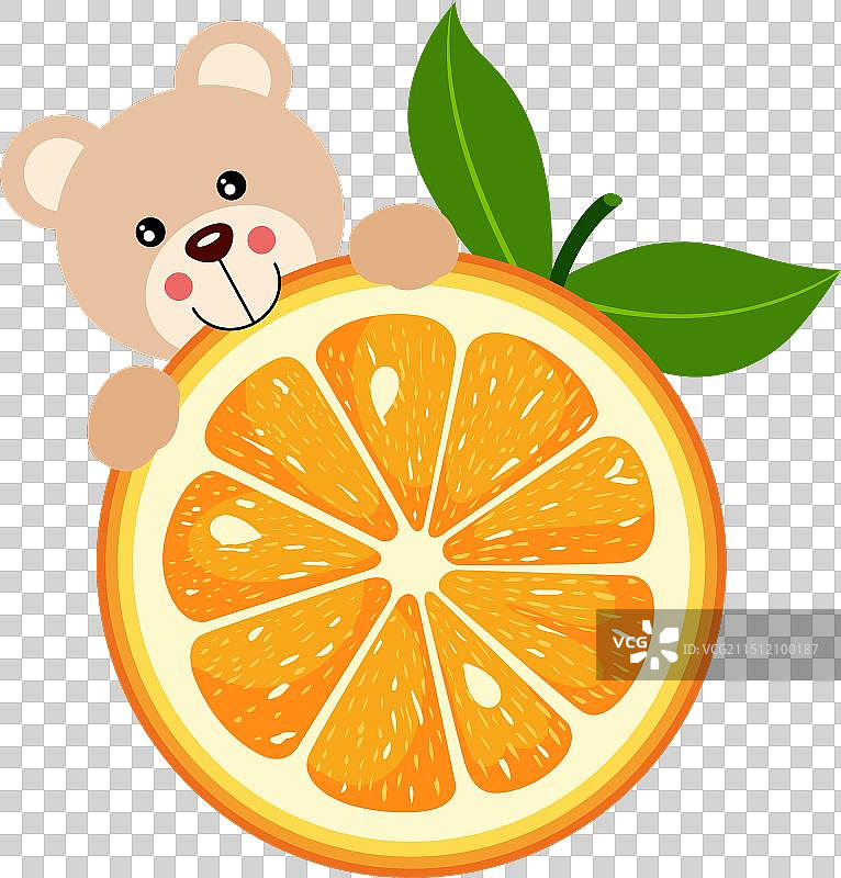 可爱泰迪熊吃橙子图片素材