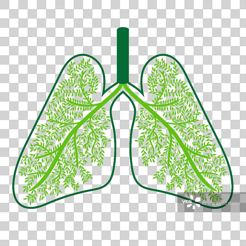 形似人类肺部的树叶树枝图片素材