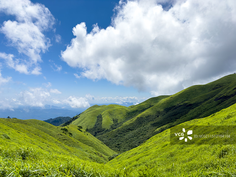 武功山高山草甸图片素材