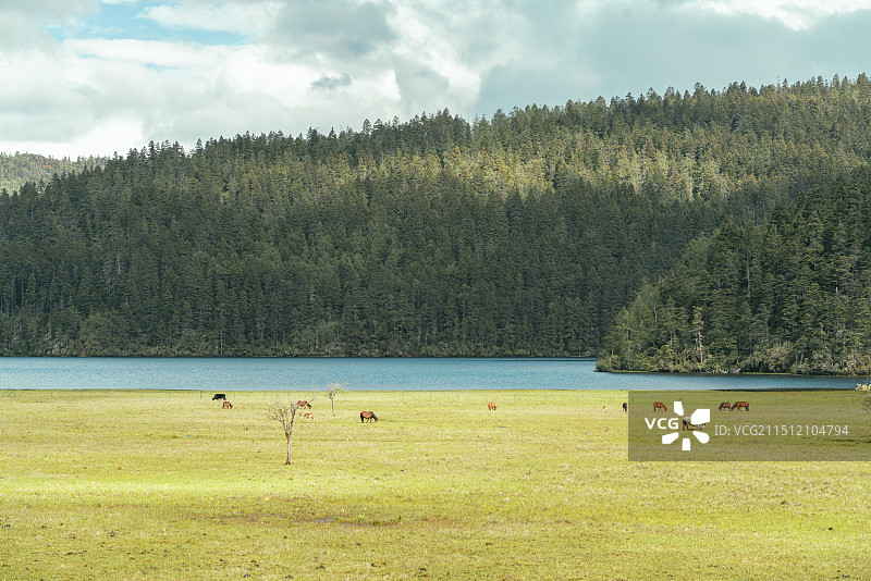 普达措国家公园 碧塔海图片素材