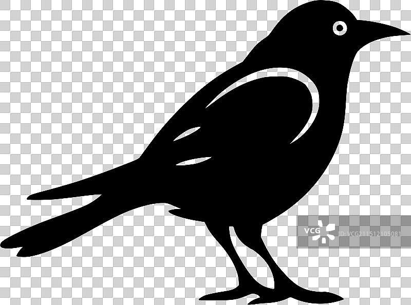 高品质乌鸦T恤logo图片素材