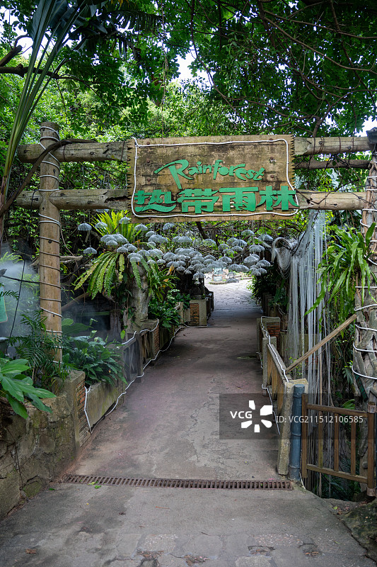 深圳市青青世界旅游区图片素材