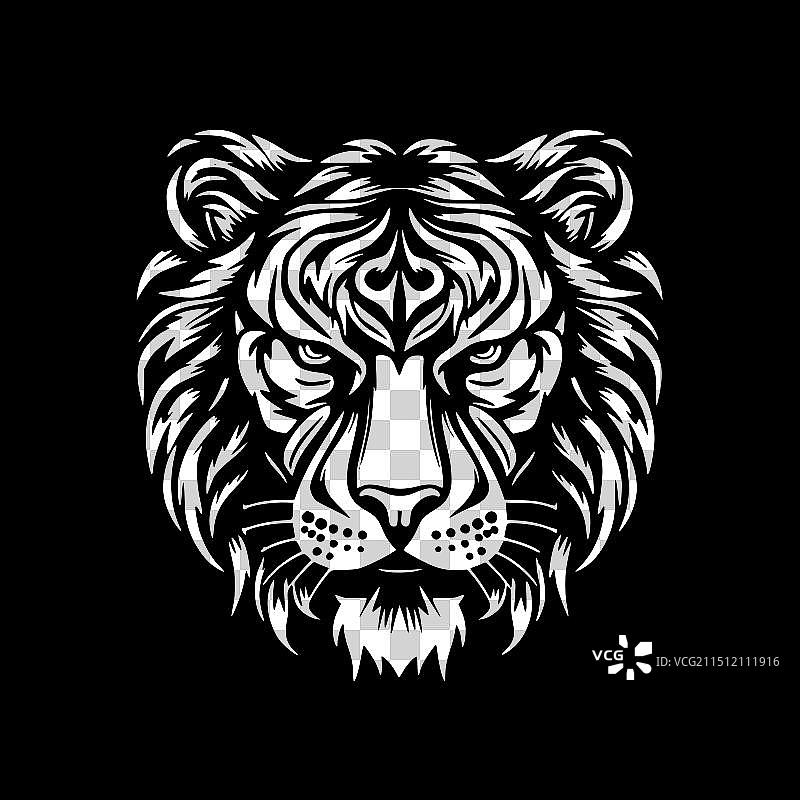 老虎——黑白相间图片素材