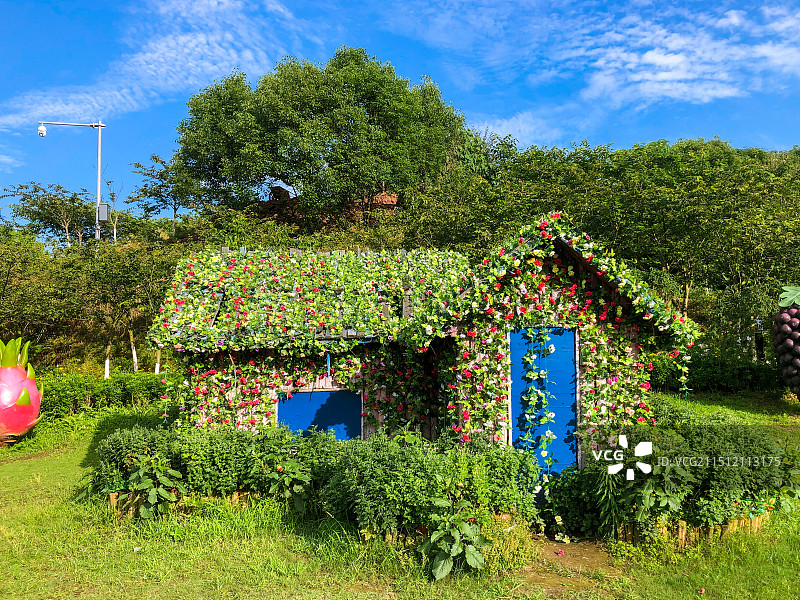 重庆垫江牡丹樱花世界景区图片素材