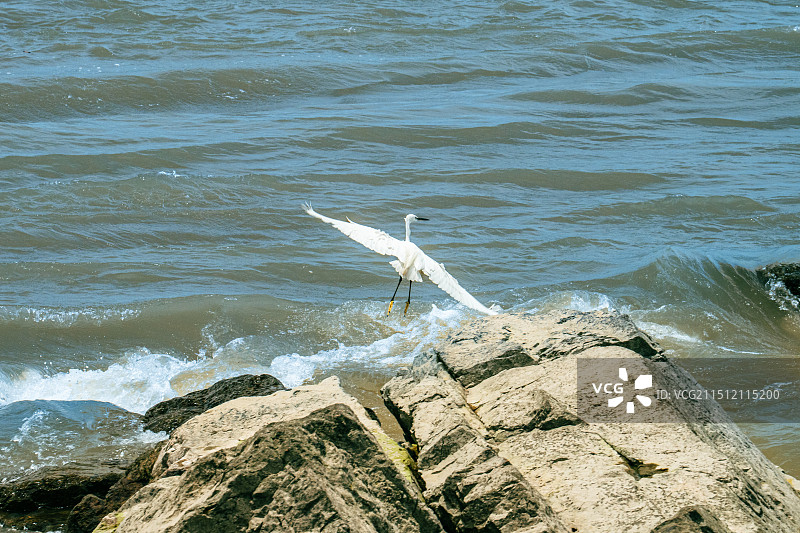 无锡江阴滨江要塞旅游区图片素材