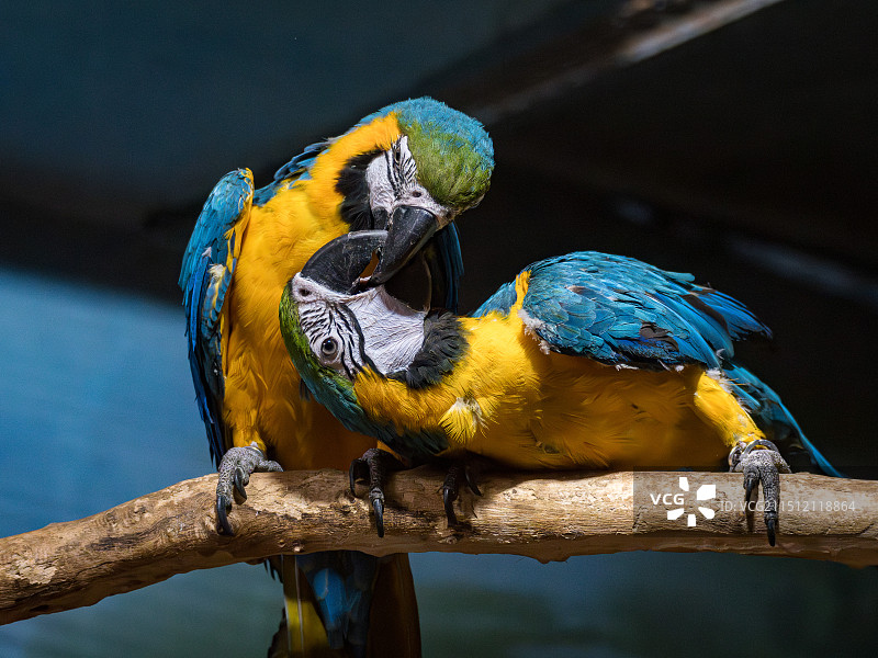 北京动物园图片素材
