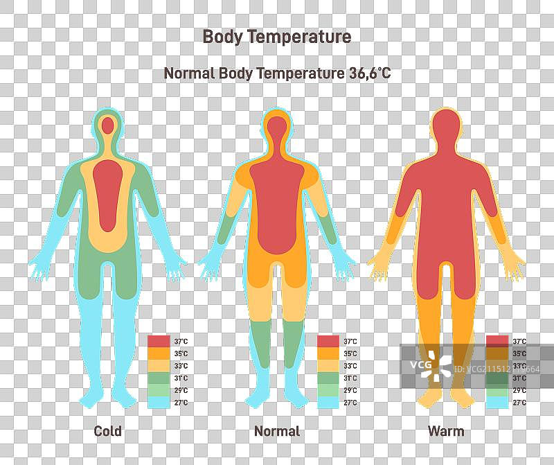 体温过高、体温过低和正常体温图片素材