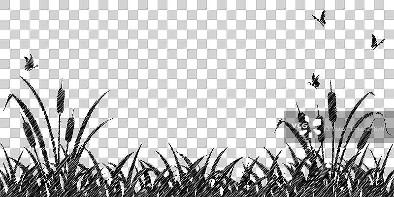 湿地景观剪影：香蒲与草地图片素材