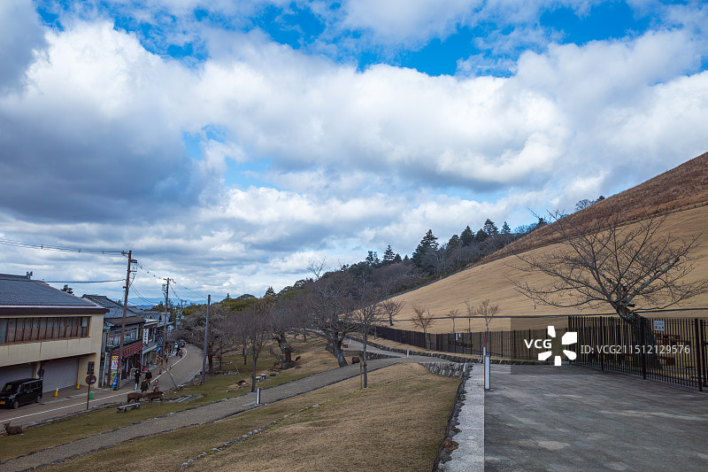 日本京都冬季若草山图片素材