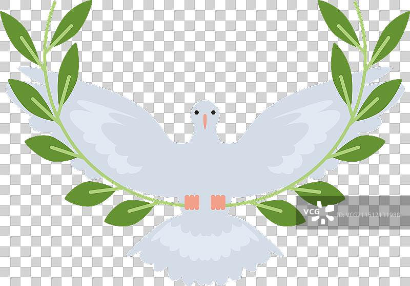 衔橄榄枝的飞翔和平鸽图片素材