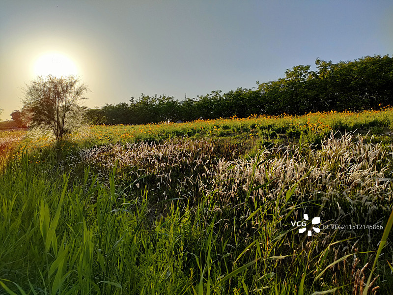 宿州新汴河景区图片素材
