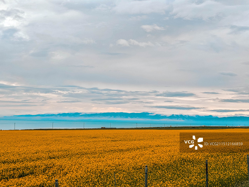 东台吉乃尔盐湖315国道图片素材