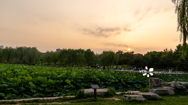 邯郸丛台区赵苑公园图片素材