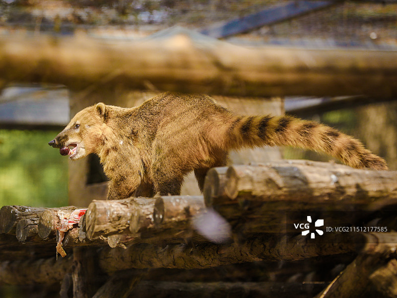 北京动物园图片素材