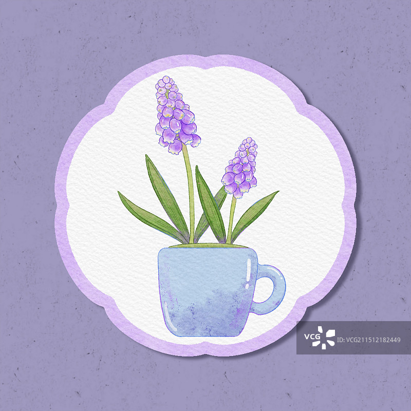 手绘绿植花卉风信子图片素材