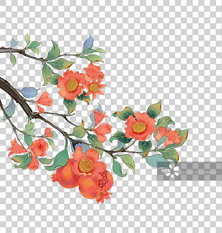 国风手绘二十四节气花卉植物小满石榴花图片素材