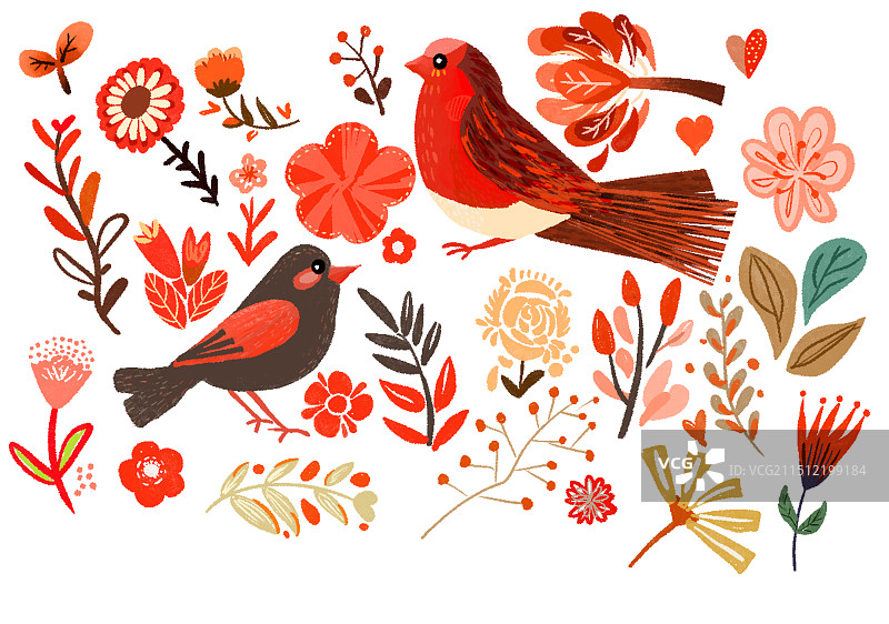 水彩无缝无图红色花鸟图片素材