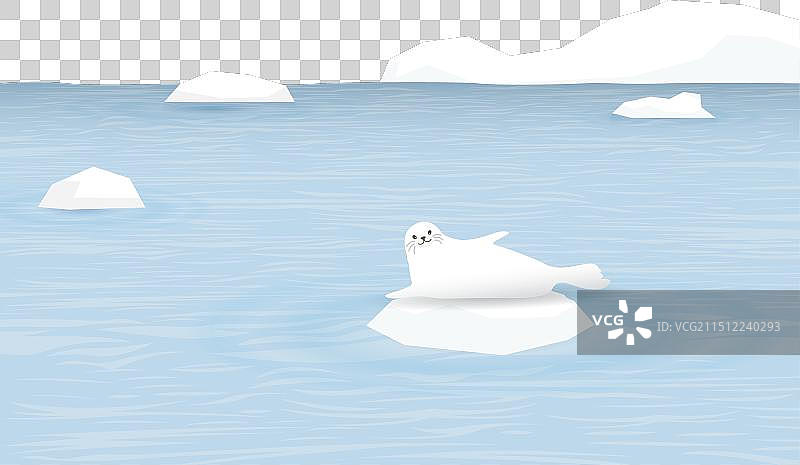 冰原上的海豹，背后是海岸和冰山图片素材