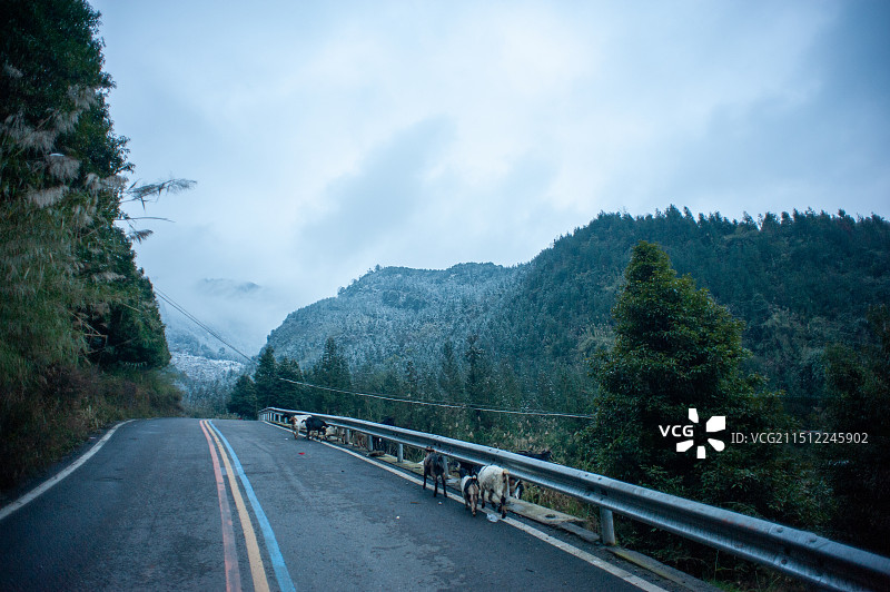 雅安周公山景区图片素材