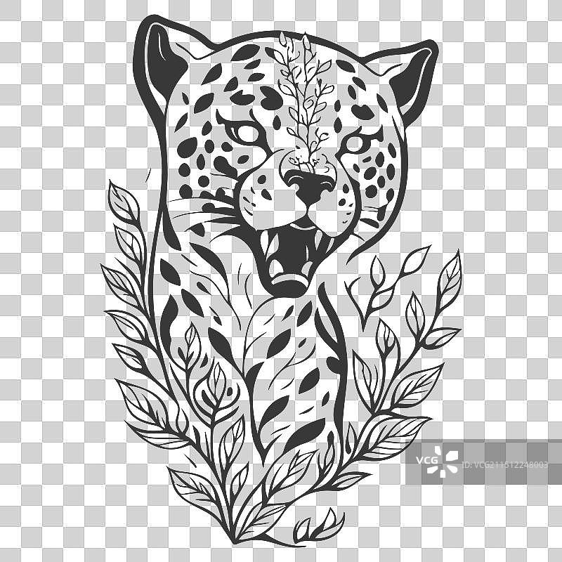 花卉灰色美洲虎动物图片素材