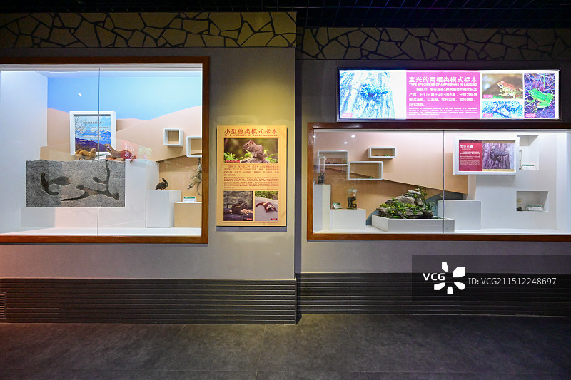 雅安蜂桶寨邓池沟景区图片素材