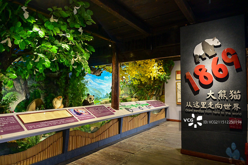 雅安蜂桶寨邓池沟景区图片素材