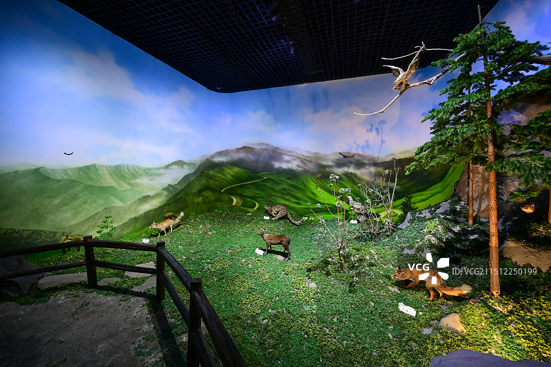 雅安蜂桶寨邓池沟景区图片素材