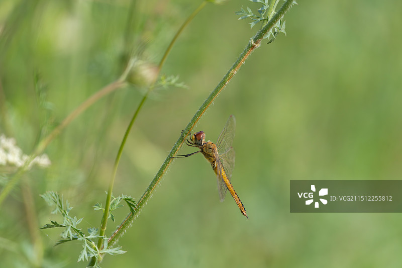 自然之美图片素材