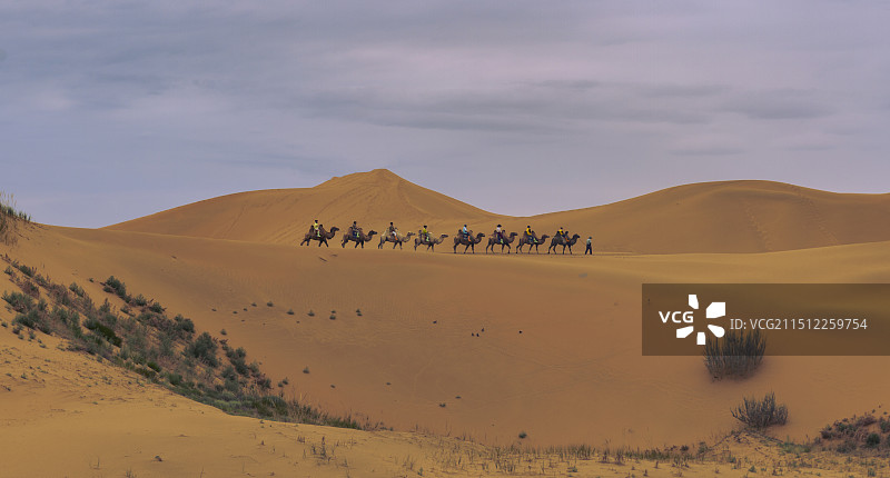 驼铃声声图片素材