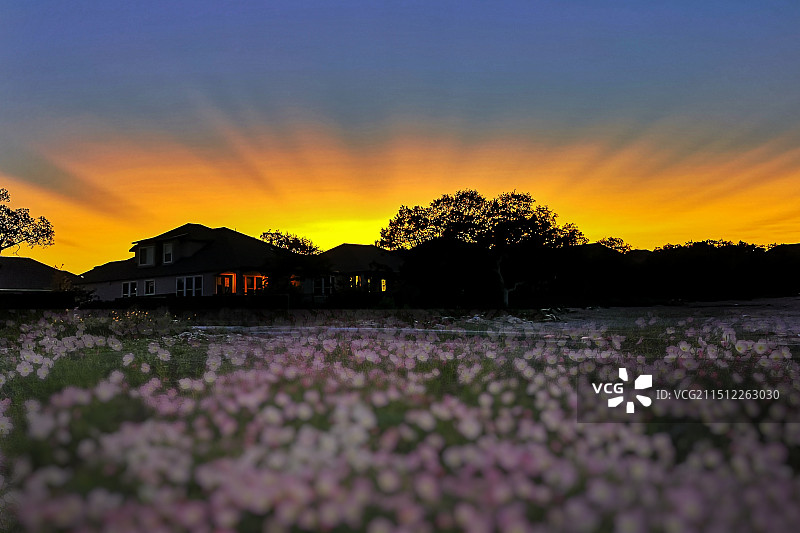 《光芒万丈》图片素材