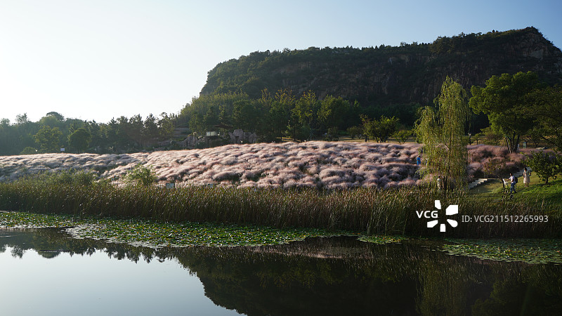 苏州市大阳山国家森林公园图片素材