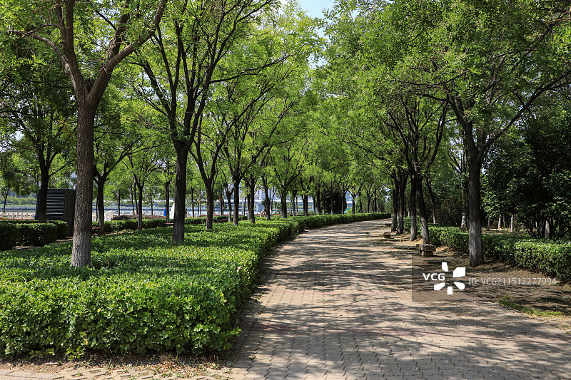 汾河公园图片素材