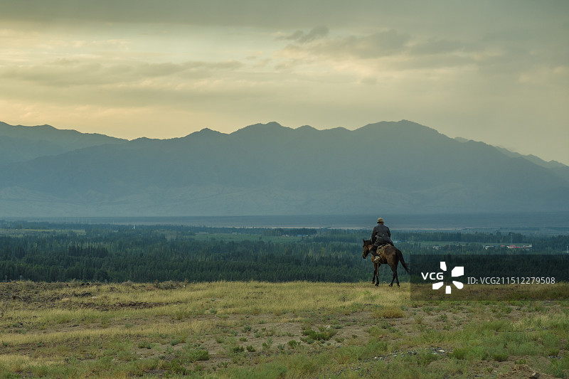 荒野大镖客图片素材