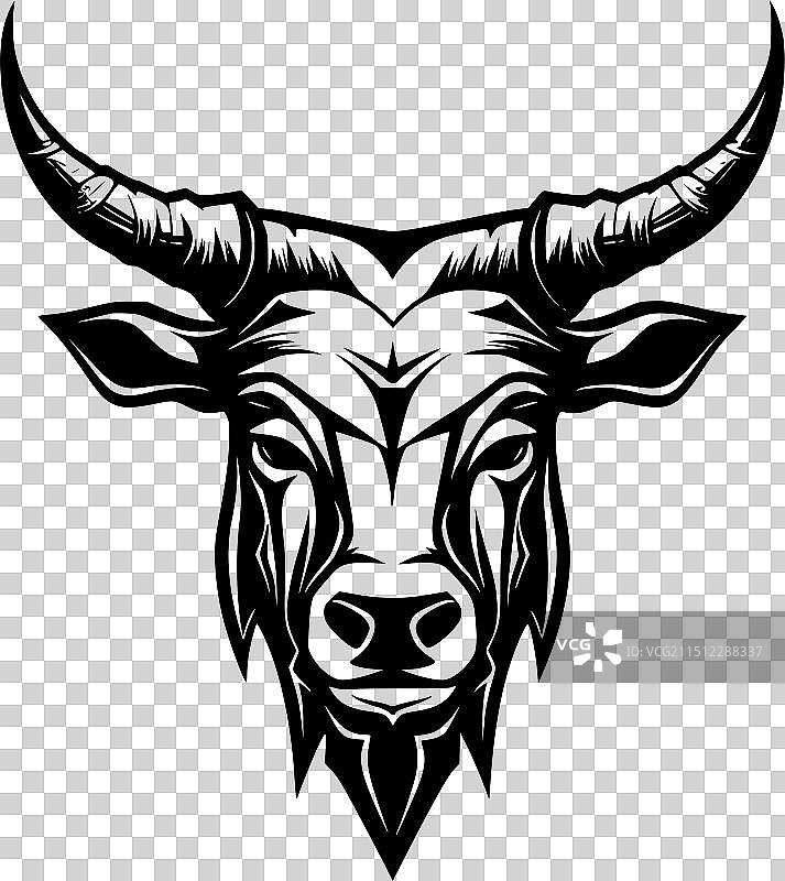 黑白公牛图片素材