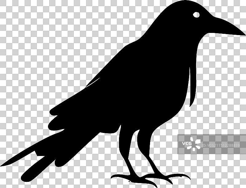 高品质乌鸦T恤logo图片素材