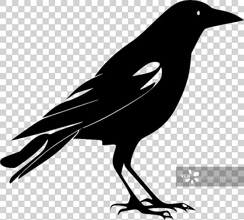 乌鸦黑白剪影图标图片素材