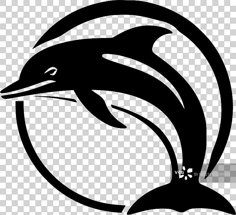 黑白海豚隔离图标图片素材