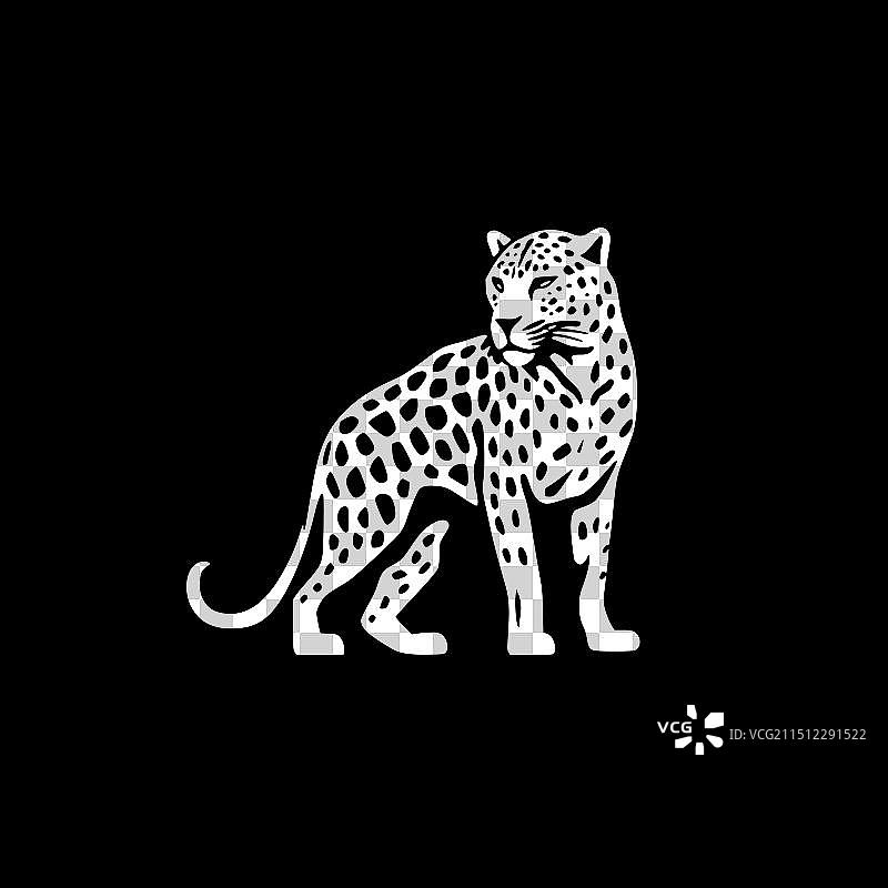 黑白豹图片素材