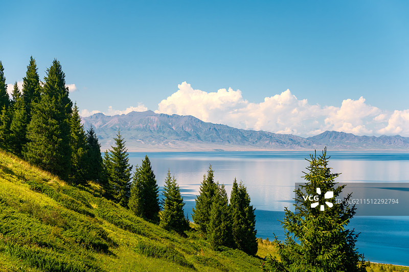 赛里木湖图片素材